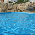 Афина