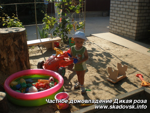 Частное домовладение Дикая роза