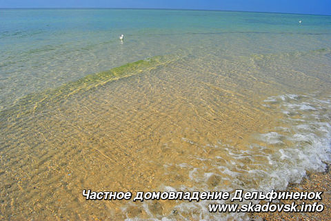 Частное домовладение Дельфиненок
