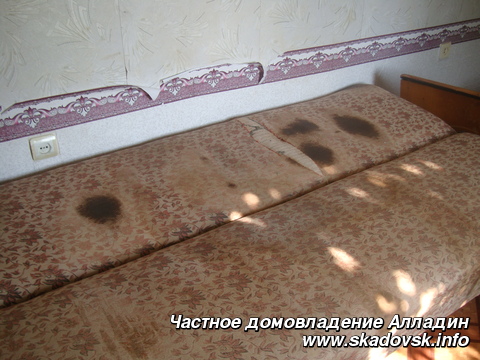 Частное домовладение Алладин