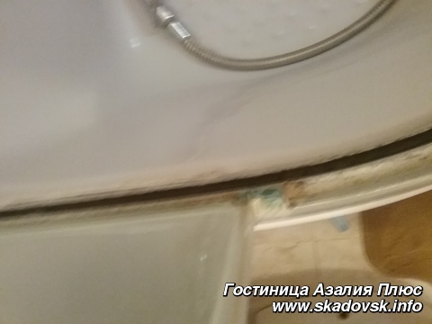 Гостиница Азалия Плюс