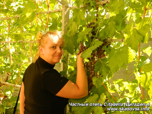 Частный отель Сitadella (Цитадель)