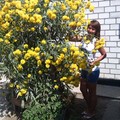 Частное домовладение Божья коровка
