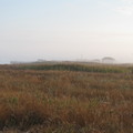 Отзыв про Остров Джарылгач  У Гавриловича, октябрь 2015, фото 
