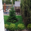Частное домовладение Кипарис