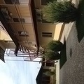 Paradise