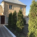 У Светланы