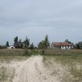 Сафари